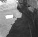 Thumb_1190905458