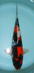 Thumb_1194568753