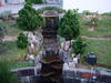 Thumb_1194569850