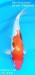 Thumb_1306626388