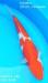 Thumb_1306626436